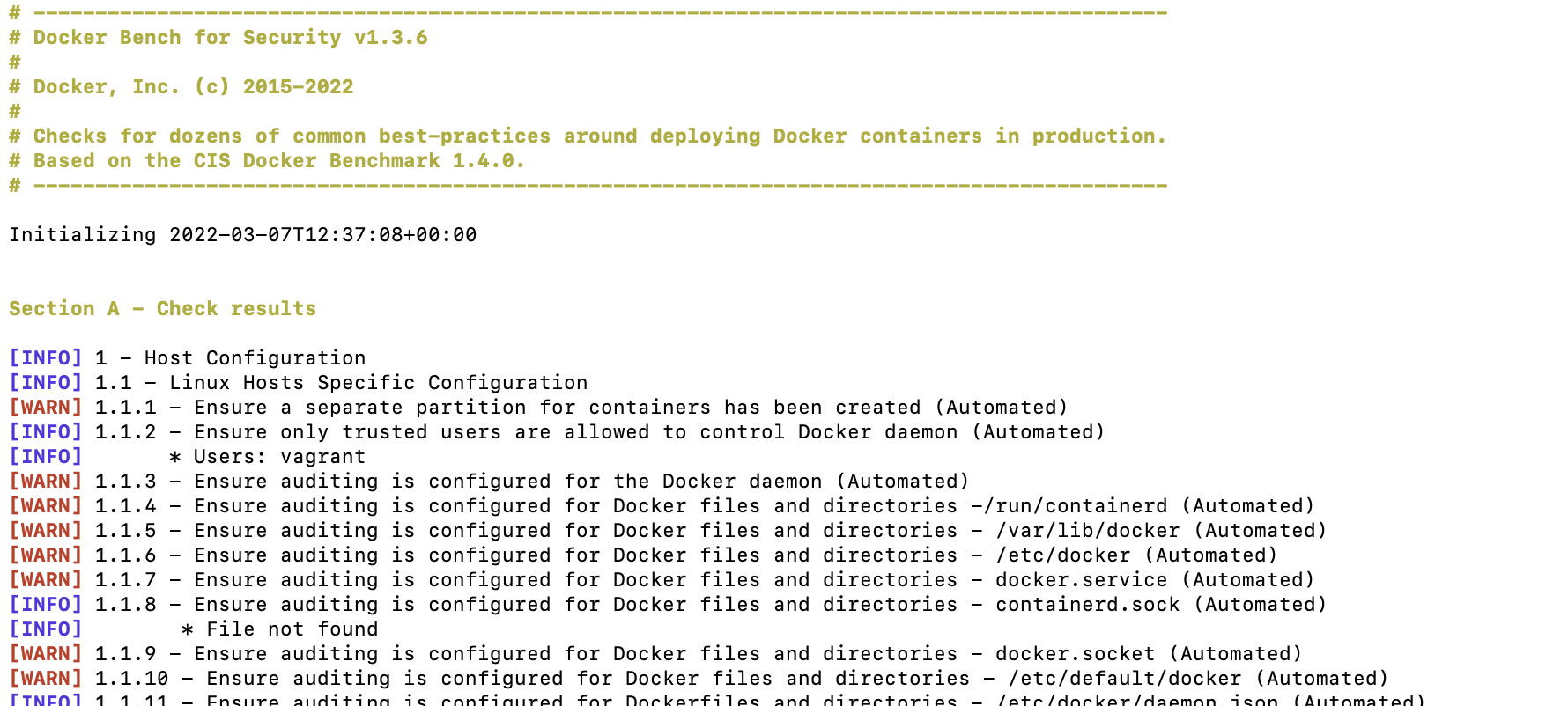 Docker Bench for Security running